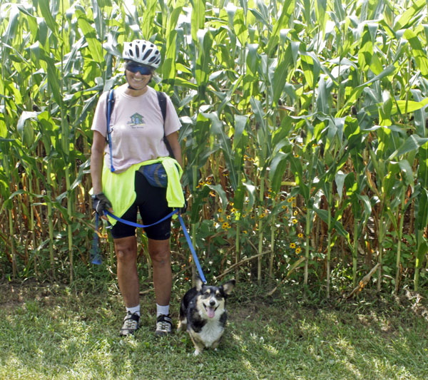 Kathy and Bailey are dwarfed by tall corn.