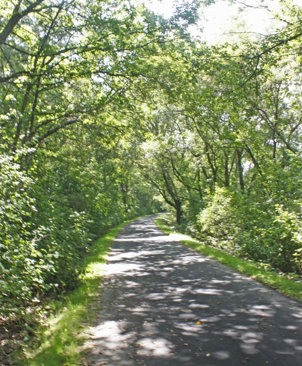 A canopy of trees covers the Root River State Trail. 