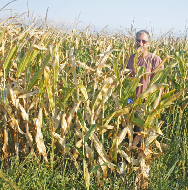 Rodge and Bailey hangin' in the cornfield. Where's Bailey?