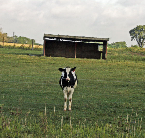 BlogCFD_20100902_01137