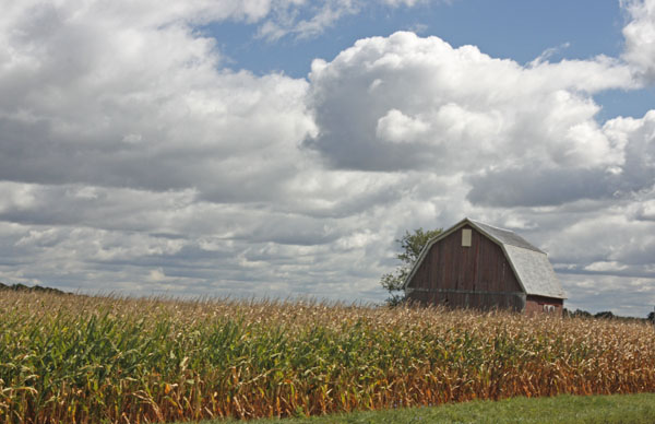 BlogCFD_20100903_01167