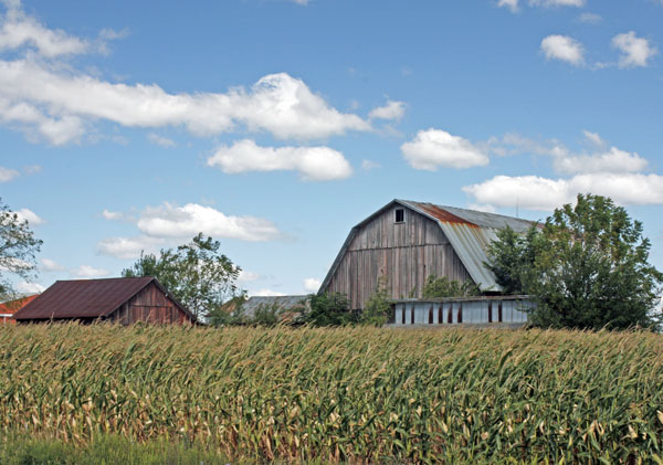 BlogCFD_20100904_01187