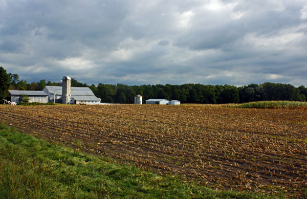 BlogCFD_20100907_01198 A harvested corn field.