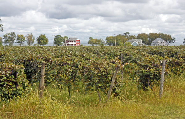 BlogCFD_20100909_01286